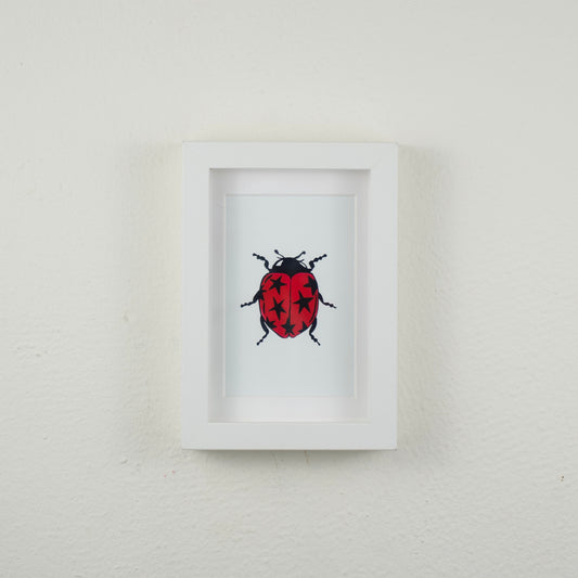 Star Ladybug — Framed Art Print