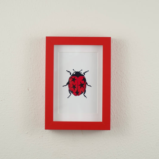 Star Ladybug — Framed Art Print